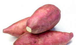 地瓜视频,带你领略田园风光，感受生活美好