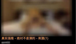 色的视频,探索视频中的视觉盛宴